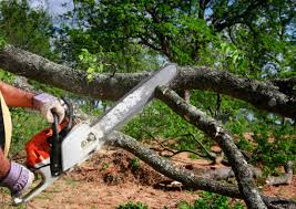 Best Weed Control  in Coweta, OK