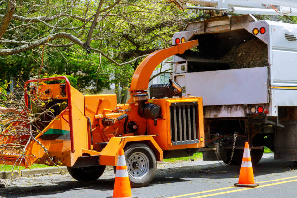 Best Firewood Processing and Delivery  in Coweta, OK