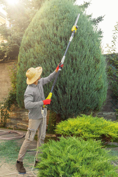 Best Commercial Tree Services  in Coweta, OK